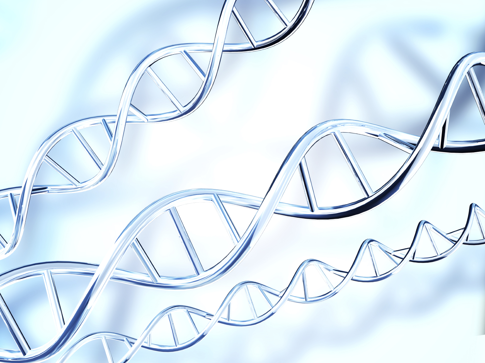 Fragmentación ADN espermático