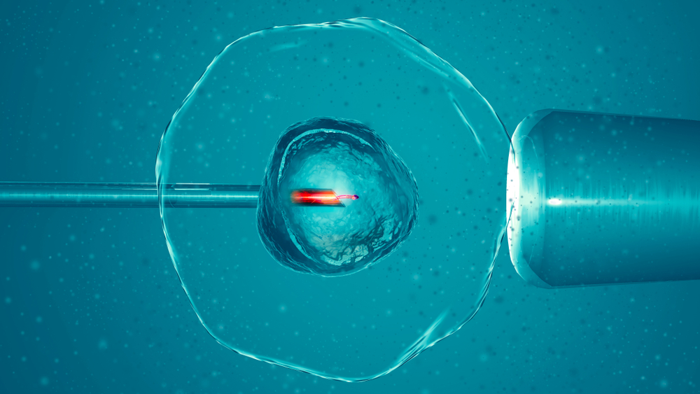 Un estudio revela que reprogramar el óvulo con fármacos ayuda en la reproducción asistida