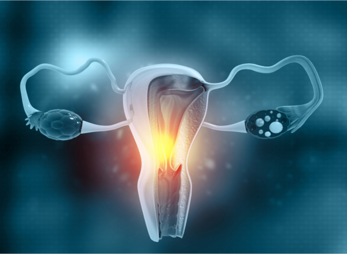 La microbiota uterina puede predecir el éxito de las pacientes de Reproducción Asistida