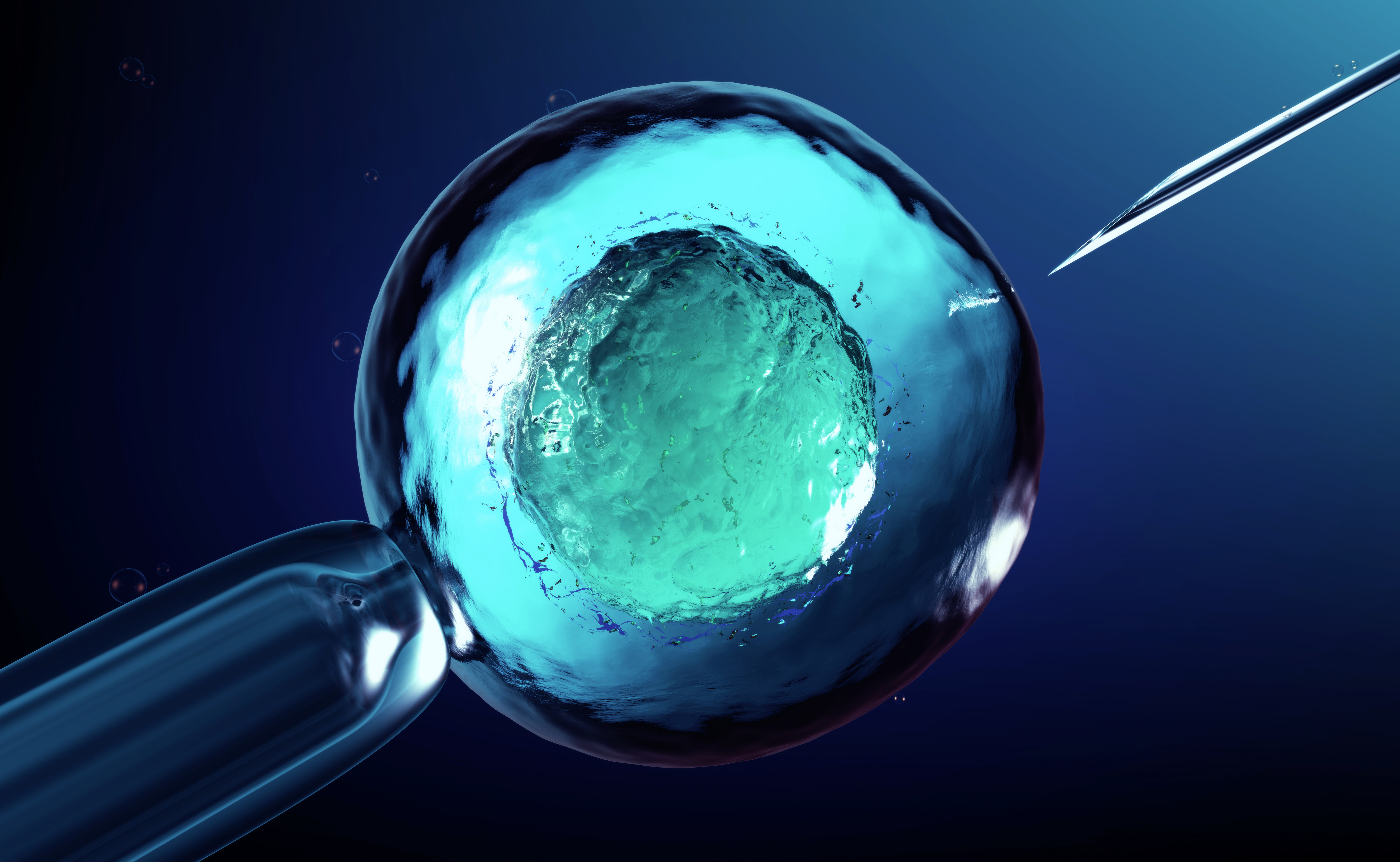¿Es posible predecir el riesgo de enfermedades en embriones fecundados in vitro?