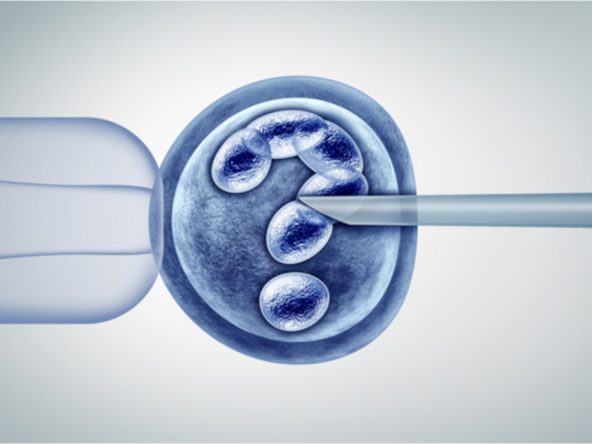 Presentan en el Congreso de la SEF un modelo que detecta los embriones con mayor capacidad