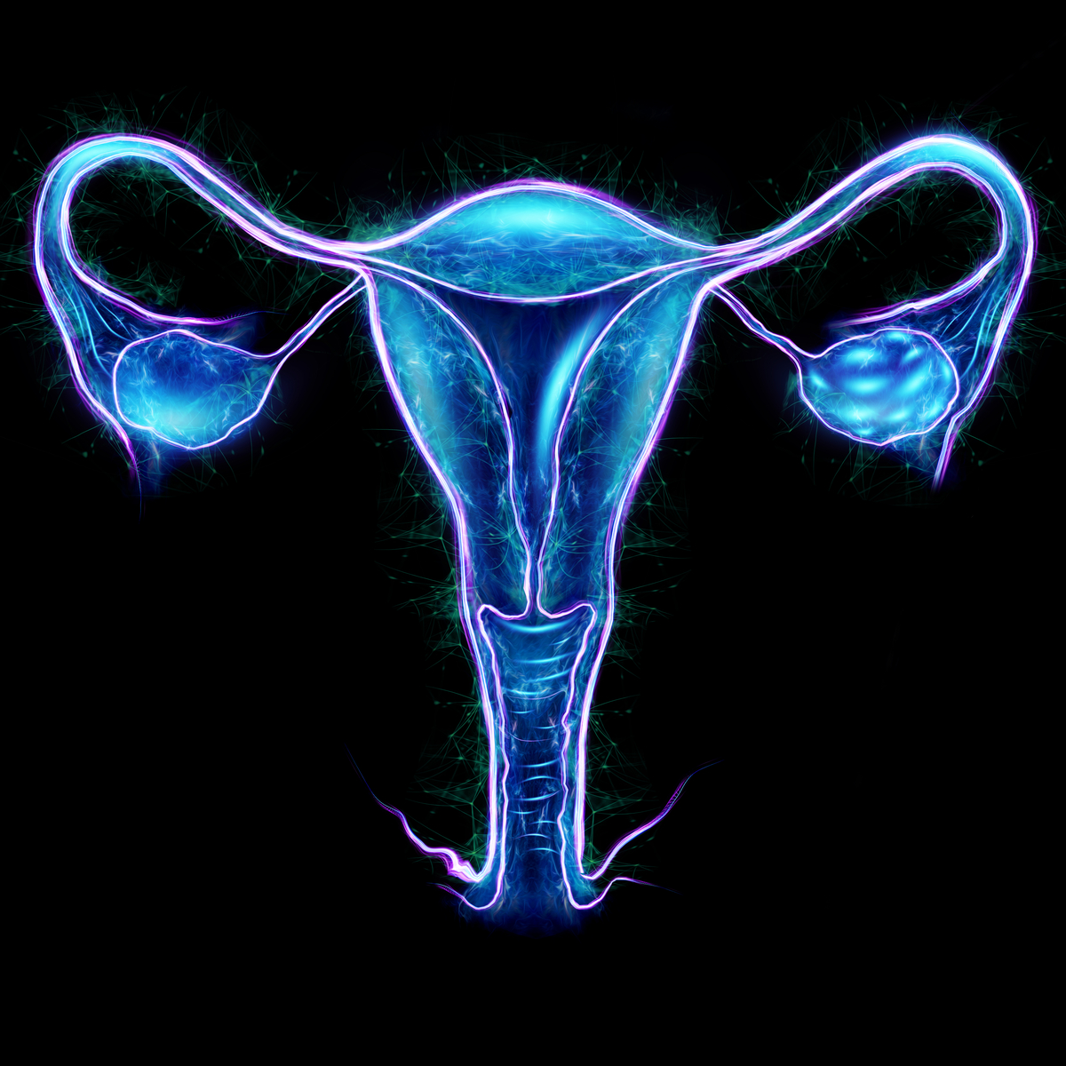 Un estudio sueco constata que el trasplante de útero es seguro y eficaz contra la infertilidad