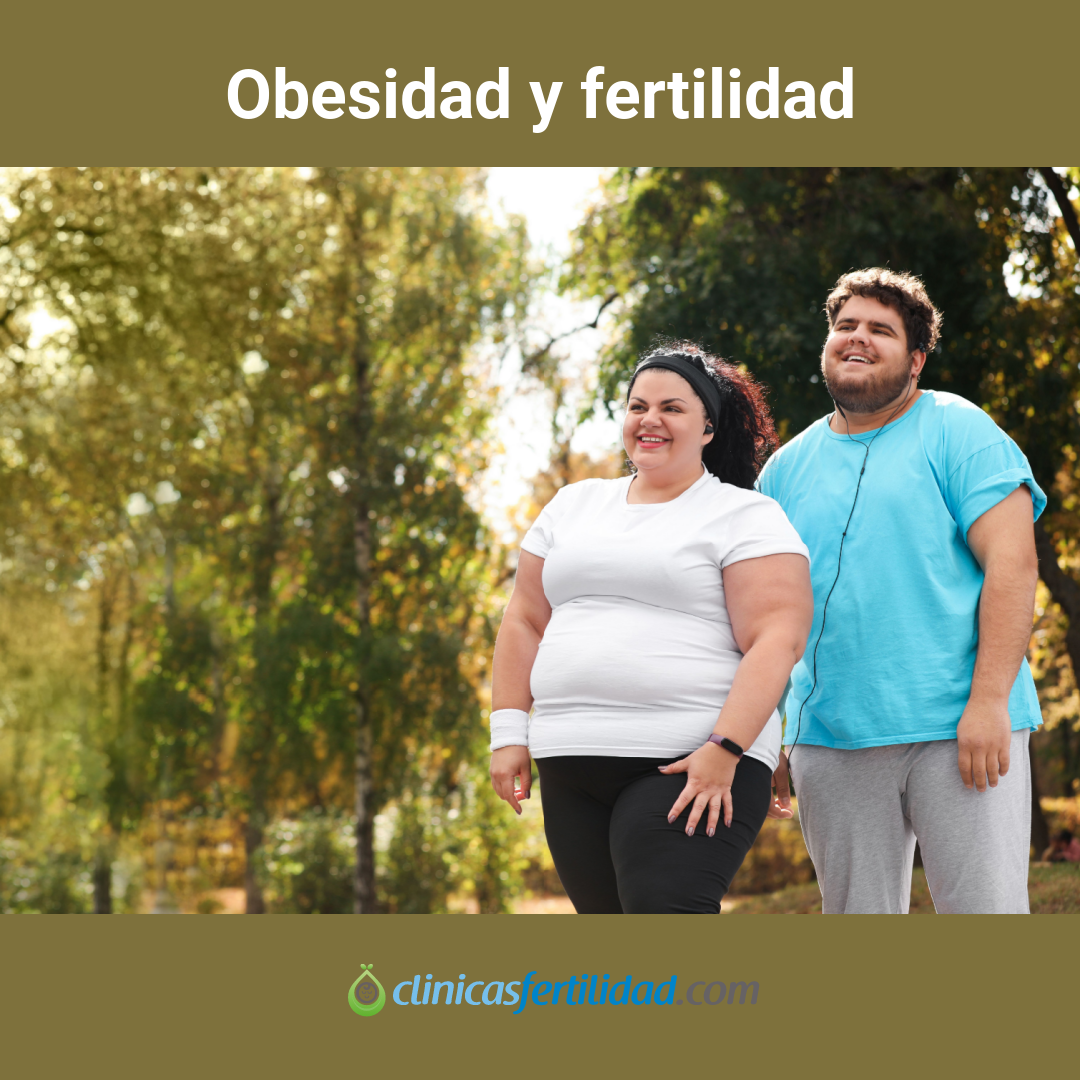¿Cómo puede afectar la obesidad a la fertilidad?