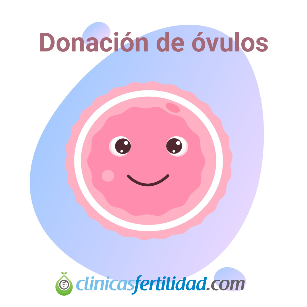 España líder europeo en la donación de óvulos