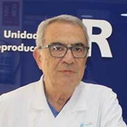 Patricio Más Ruíz