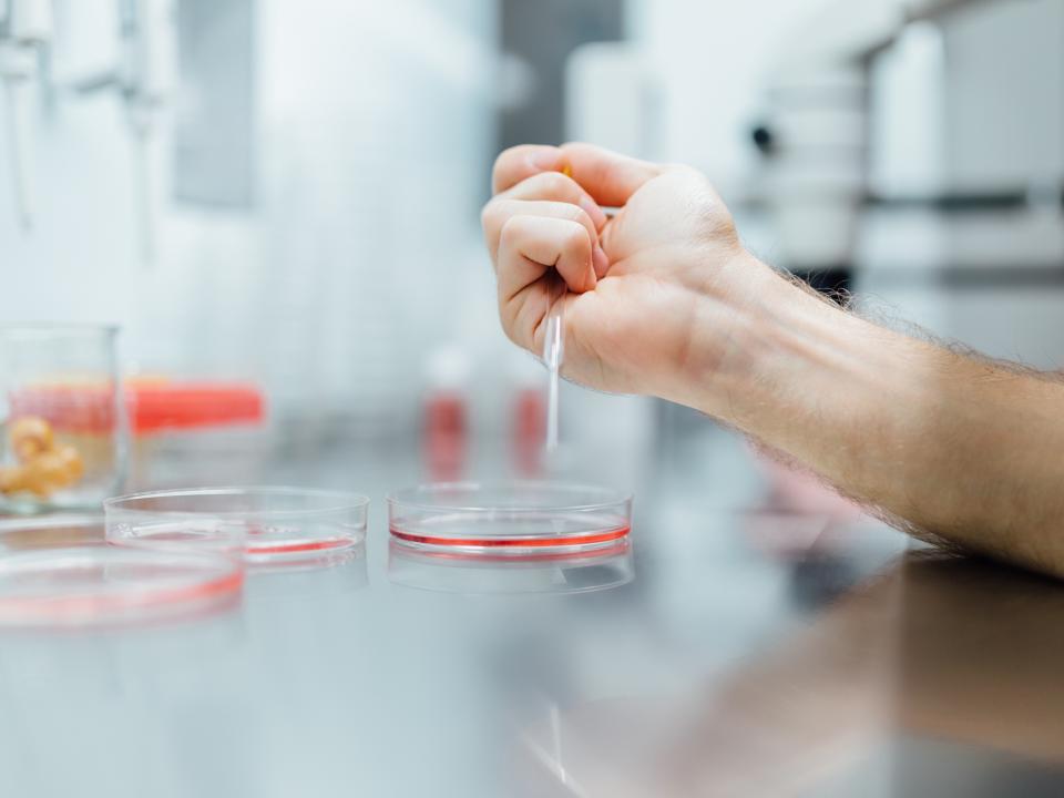 IVF-Life  Madrid