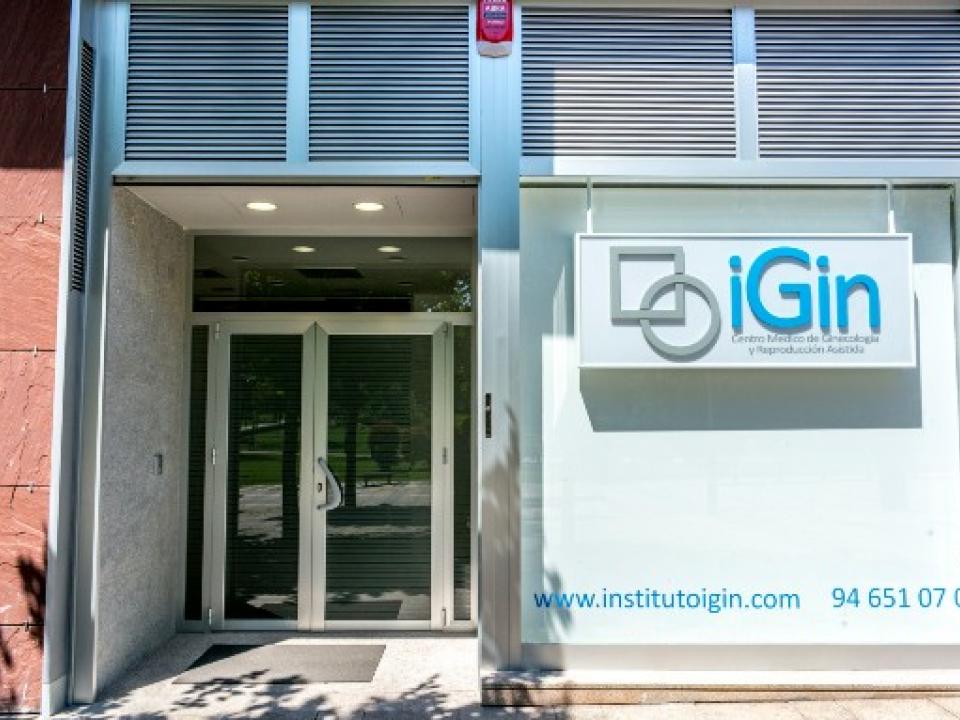 Instituto iGin Bilbao