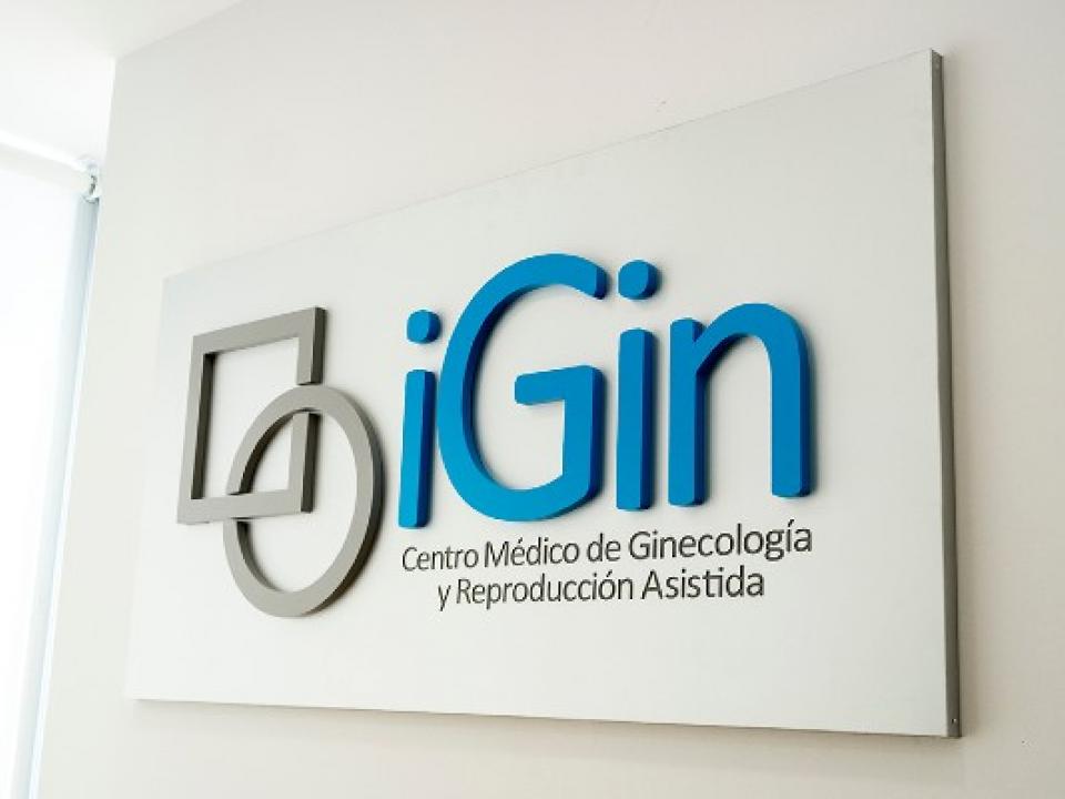 Instituto iGin Bilbao