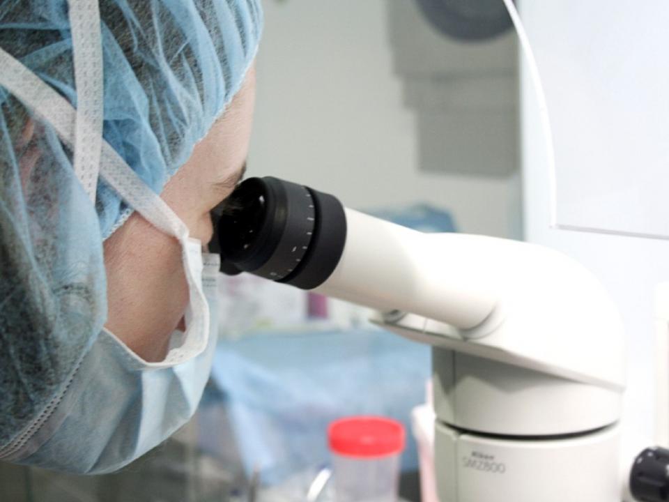 IVF-Life Alicante