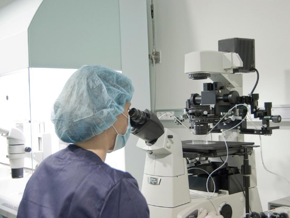 IVF-Life Alicante