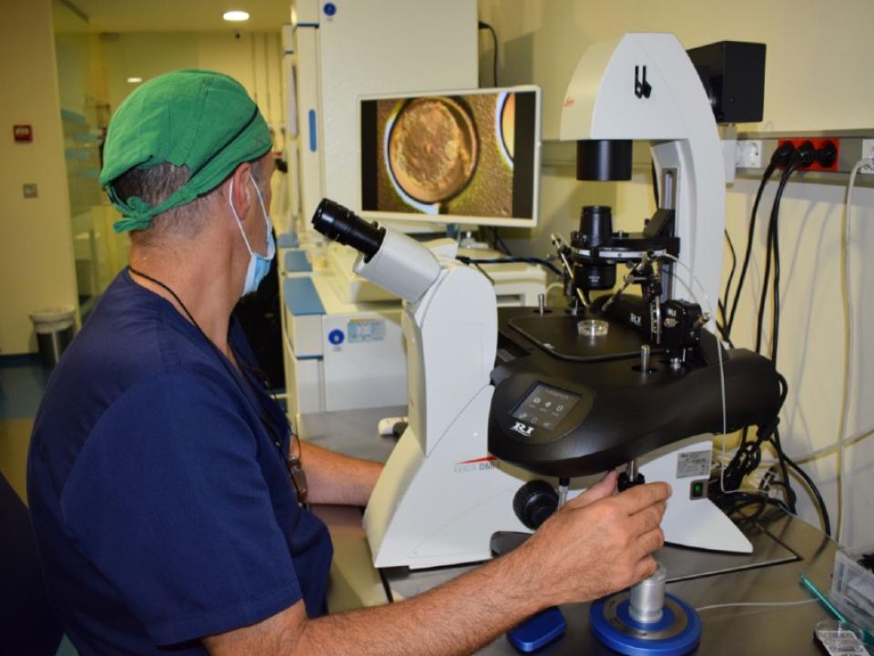 IVF-Life Alicante