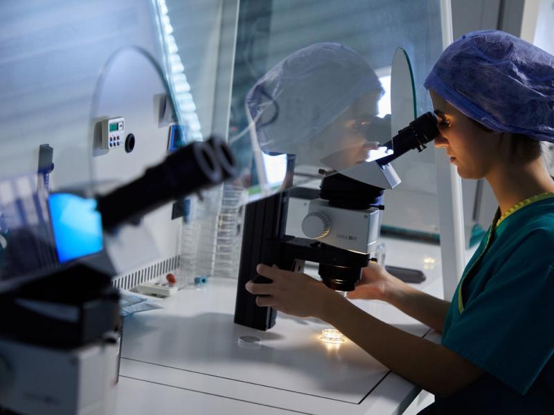IVF-Life Donostia